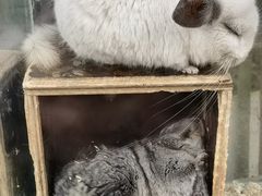 -呀路古热带植物园