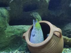 -蓬莱欧乐堡海洋极地世界