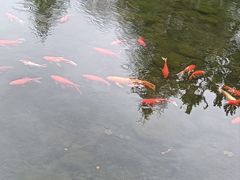 -白马涧龙池景区