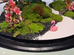 -豫丰汇河南名菜楼(武记餐饮)