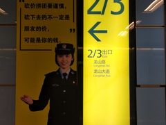 -大龙山(地铁站)