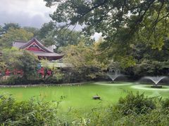 -井之头恩赐公园