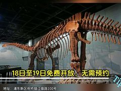 -上海电影博物馆