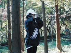 -东平国家森林公园
