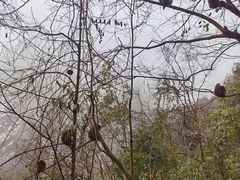-九峰山