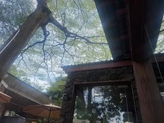 -三水森林公园
