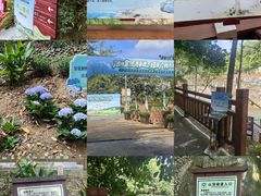 -广州白江湖森林公园