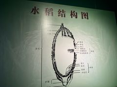 -盘锦特产博物园
