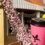 谁懂这一杯的含金量…直接hit中我心