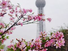 -文华公园(禅城区)