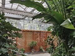 -金稼园·金平湖农家菜