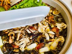 -爱膳菌锅锅(阳南店)