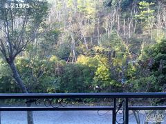 20110228509-深圳东部华侨城茵特拉根酒店