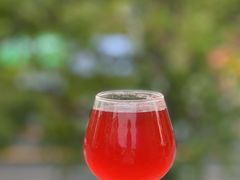 -京B·东篱精酿啤酒音乐餐厅