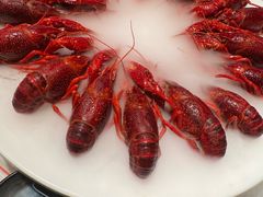 -红盔甲·小龙虾(天钥桥店)