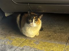 -便利蜂(广安门内大街319号店)