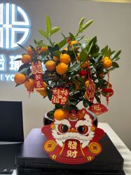 点击看大图 -思怡瑜伽·普拉提·减脂塑形
