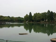 -苏州金鸡湖大酒店