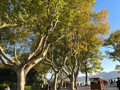 -楼外楼(西湖景区孤山路店)