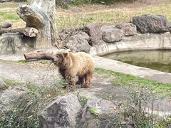 -宁波野生动物园