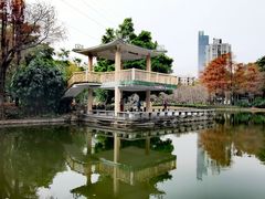 -晓港公园