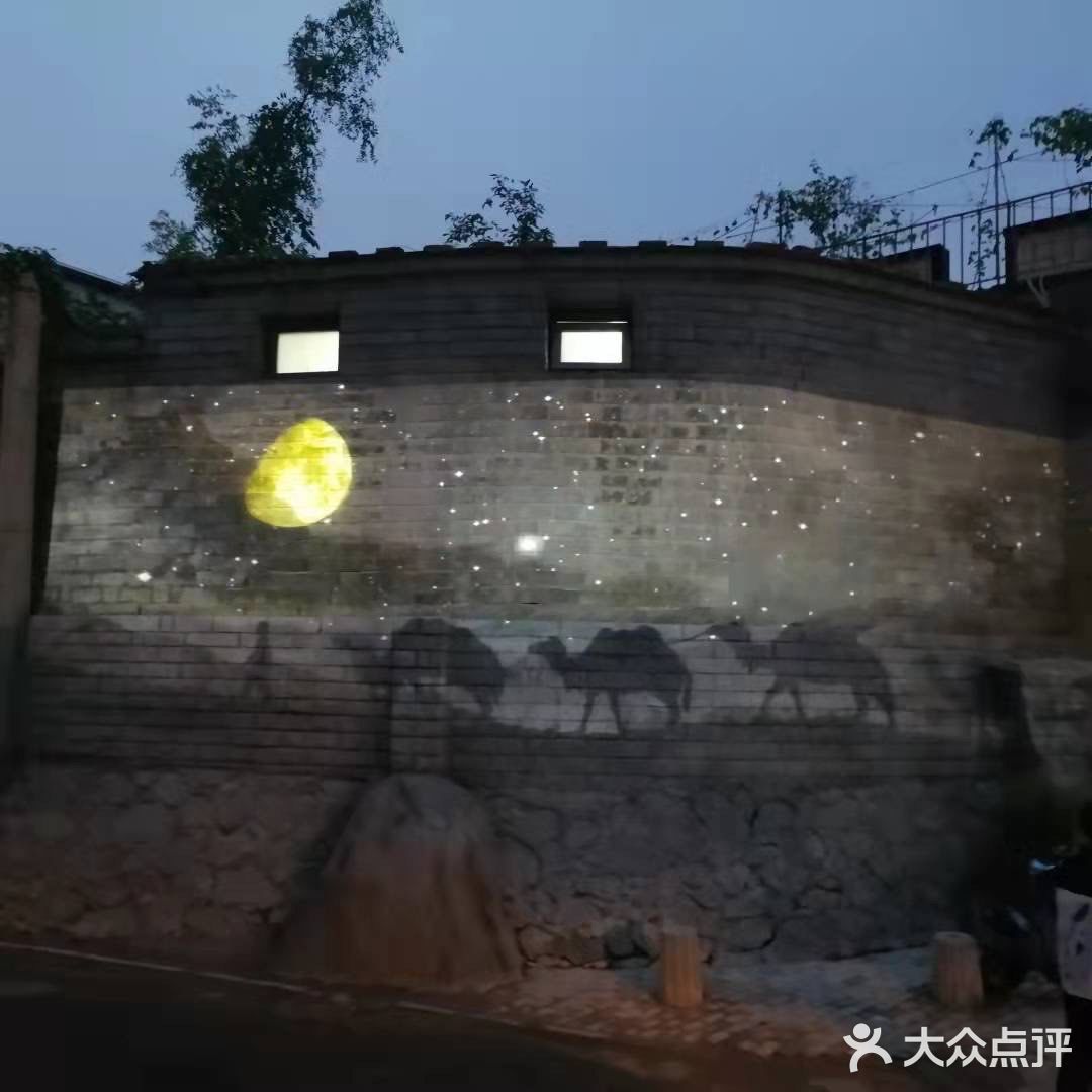 国庆扫街随拍~风响驼铃