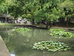 -兰亭风景区