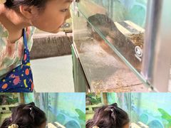 -萌宠奇缘(荣鼎店)