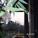 高级美感🤎东湖旁的高端闽南菜