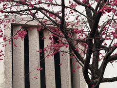 -乌山风景区
