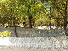 游乐设施-菊园百果园