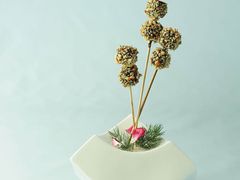 冰激凌棒棒鹅肝-木棉花开(中心城店)