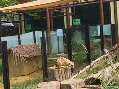 -大连森林动物园