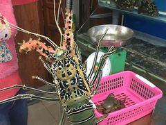 -芽庄老成都川菜馆