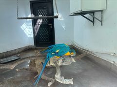 -青藏高原野生动物园