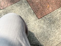 -晓港公园