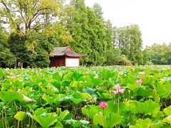 -东湖生态旅游风景区