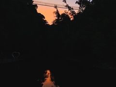 -云南屏边大围山国家公园