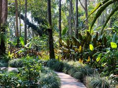 -中国科学院西双版纳热带植物园