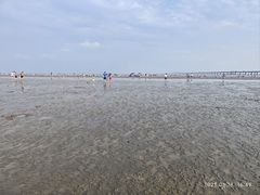 -南汇新城海滩