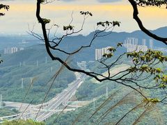 -黄埔油麻山森林公园