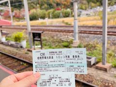 -岚山嵯峨野观光小火车