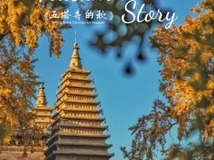 -北京石刻艺术博物馆