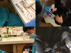 -pd派德宠物中心医院24H急重症·眼科中心·血液透析中心(嵩山北路店)