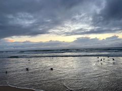 -黄金海岸