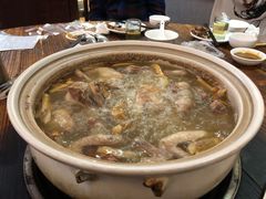 五指毛桃药膳乳鸽-鸽鸟轩(石岐店)