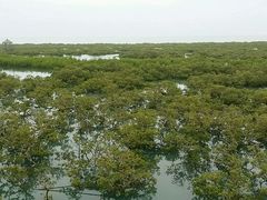 -北海金海湾红树林生态旅游区