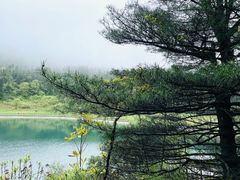 -武陵山森林公园