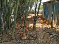 -乌石村