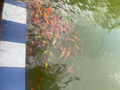 -祥源·阜阳生态乐园